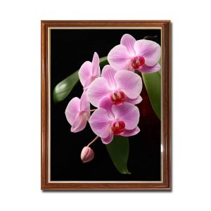 Mẫu tranh khổ đứng hình ảnh cành phong lan màu hồng nhạt
