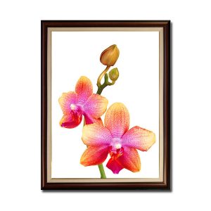 Mẫu tranh khổ đứng hình ảnh cành hoa lan màu đỏ cam tươi tắn