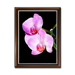 Mẫu tranh khổ đứng hình ảnh bông hoa lan màu tím hồng tươi sáng