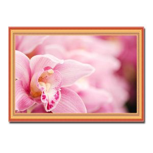 Mẫu tranh treo tường hình ảnh hoa lan màu phớt hồng đẹp
