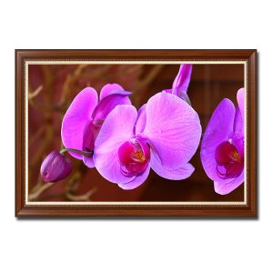 Mẫu tranh treo tường hình ảnh hoa lan màu tím hồng tươi tắn