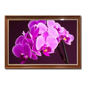 Mẫu tranh treo tường hình ảnh cành hoa lan tím tươi sáng nổi bật