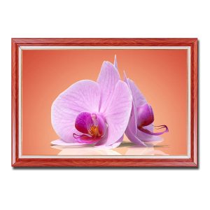 Mẫu tranh treo tường đẹp hình ảnh hai bông hoa lan tím hồng tựa vào nhau