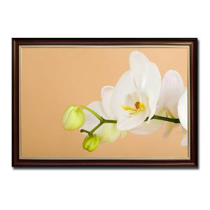Mẫu tranh treo tường đẹp hình ảnh cành hoa lan trắng trên nền vàng nhạt
