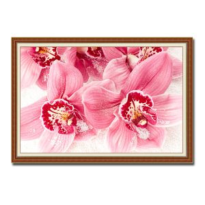 Mẫu tranh treo tường đẹp hình ảnh hình ảnh hoa lan màu hồng nhạt