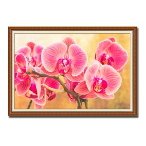 Mẫu tranh treo tường đẹp hình ảnh cành hoa lan hồng trên nền vàng mờ ấm áp