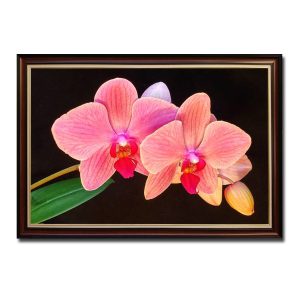 Mẫu tranh treo tường đẹp nền đen và hình ảnh cành hoa lan rực rỡ