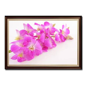 Mẫu tranh treo tường đẹp hình ảnh những cành hoa lan màu hồng tươi trên nền trắng sáng