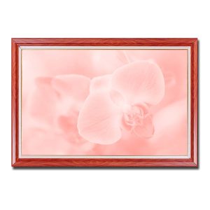 Mẫu tranh treo tường đẹp hình ảnh hoa lan và nền mây hồng nhạt mờ ảo