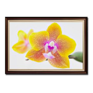 Mẫu tranh treo tường hình ảnh cành hoa lan vàng vện vân hồng đẹp