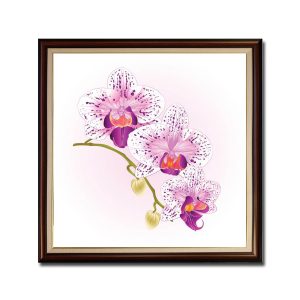 Mẫu tranh khổ vuông đẹp hình ảnh cành hoa lan đẹp trên nền hồng loang trắng
