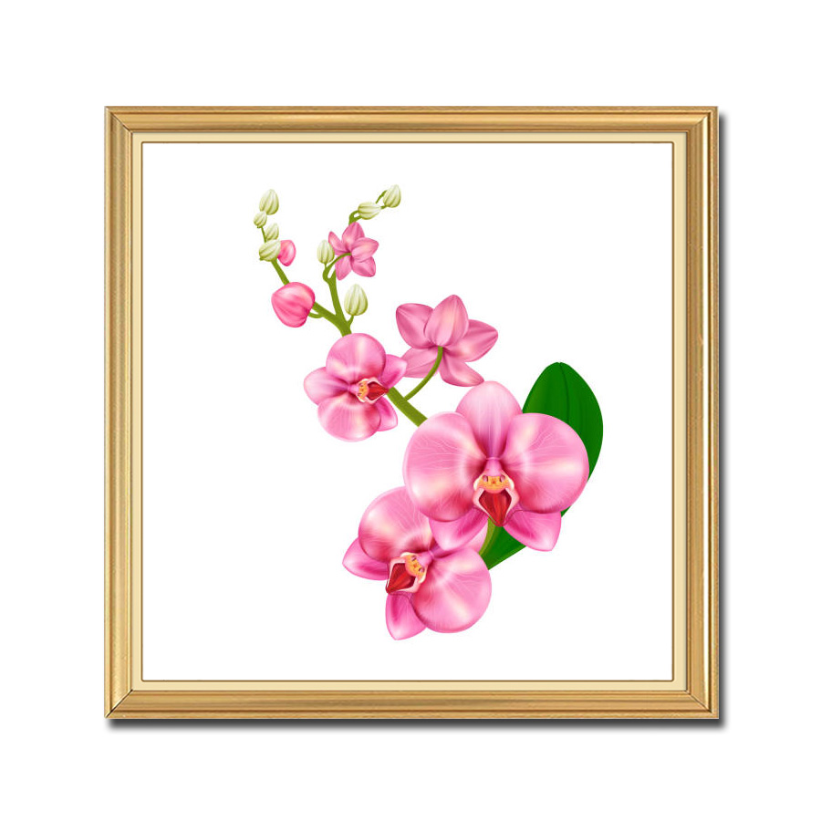 Mẫu tranh khổ vuông vẽ cành hoa lan hồng đẹp